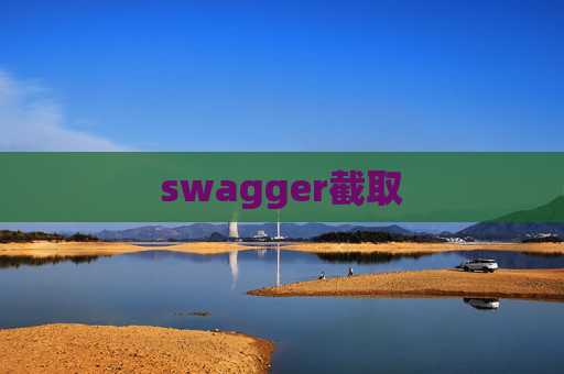swagger截取